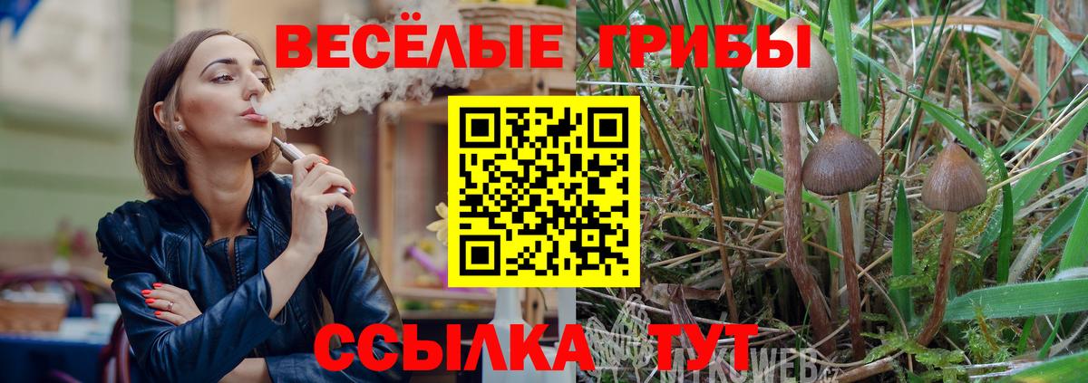 Галлюциногенные грибы Cubensis  Вход с VPN  Зерноград 