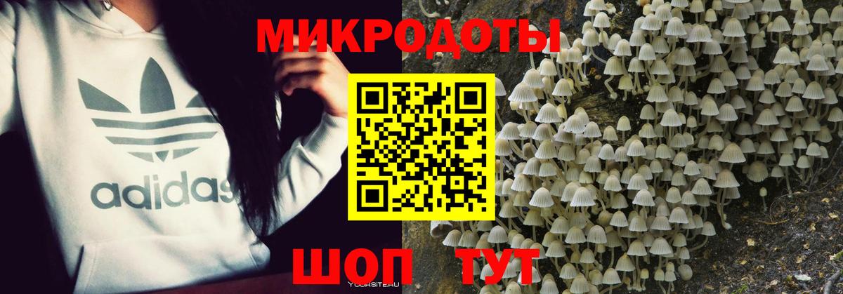 Галлюциногенные грибы Magic Shrooms Зерноград